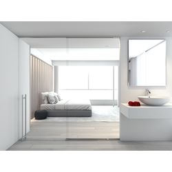 Puerta + fijo Perfil plata mate